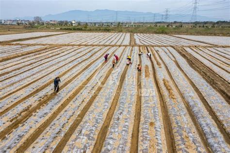 洛江区多措并举开展农机化工作 助力春耕备耕-洛江区人民政府