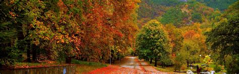 Download wallpaper Road, Autumn, Trees, Fall, Autumn, Colors, Road ...
