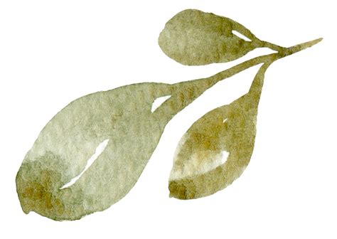 Whitney Young Health Centers, Albany NY | Legacy Event