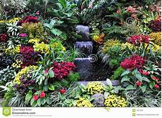 fiori a cascata fiori e cascata immagine stock immagine di giardinaggio fiori a cascata fiori e cascata immagine stock immagine di giardinaggio