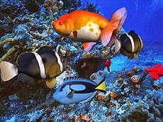 Free 3d Screensavers by Revolution Wallpaper Free 3d Wallpaper Free 3d Screensavers