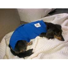 Buy Surgi Snuggly E Collar Alternative, Created By A Veterinarian ...