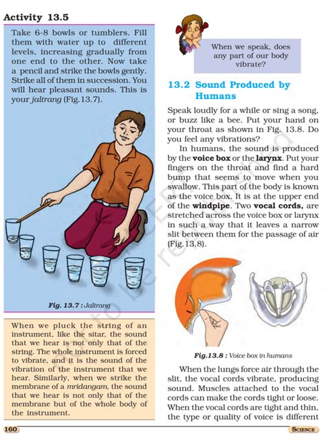 Image result for Class 8 NCERT Science Sound Chapter