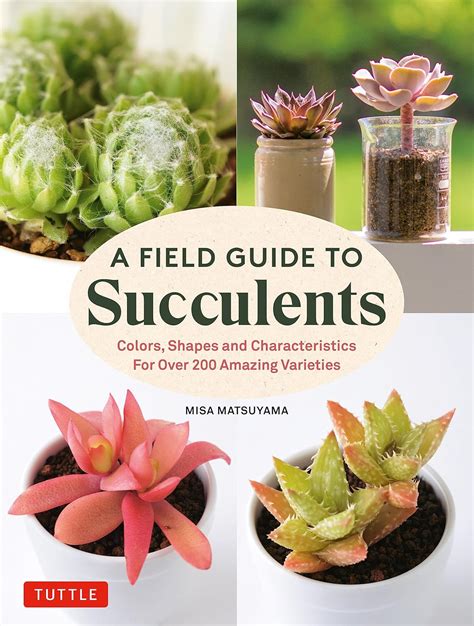 Buy A Field Guide to Succulents: Colors, Shapes and Characteristics for ...