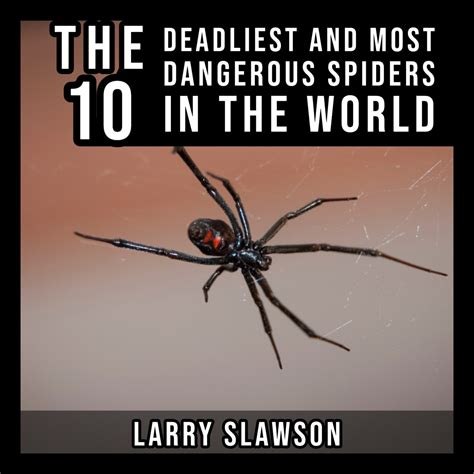 Six of the Most Dangerous and Unique Scorpions in the World | Owlcation