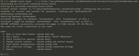 Image result for Running SQL Express On Container
