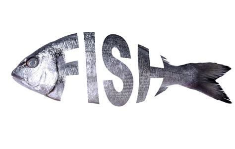 Fresh Fish Urban Dictionary at Marilyn Stumpf blog
