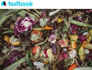 Biodegradable Waste Examples 的图像结果