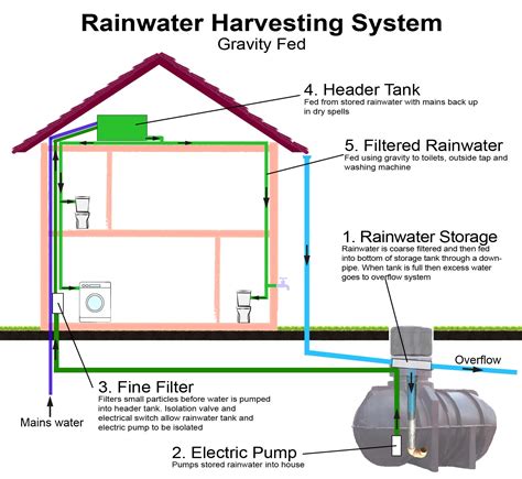 Rainwater Harvesting Systems - Great Home