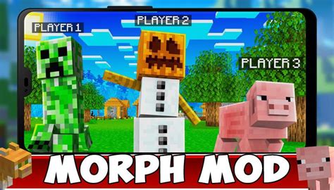 Image result for How to Install Forge Morph Mod