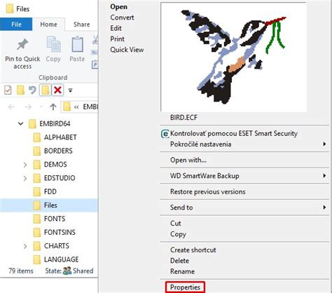 Image result for Embird Digitizing Tutorial