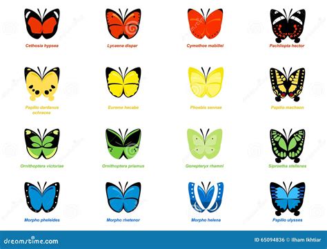 Simple Butterflies Illustration Stock Vector - Illustration of green, morpho: 65094836