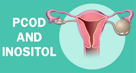 INOSITOL AND ITS IMPORTANCE – Steadfast Nutrition