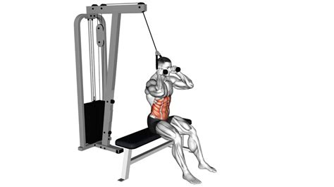 Image result for AB and Core Exercises