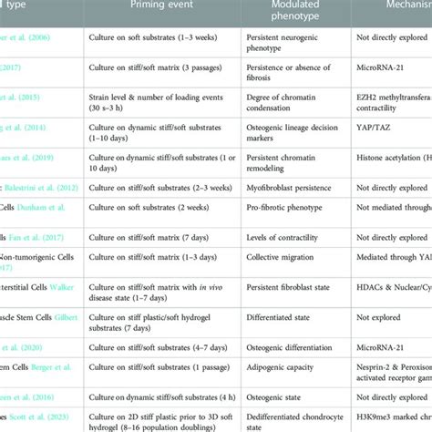 Memory Cell Types 的图像结果