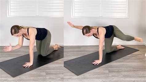 Bird Dog Exercise Move 的图像结果