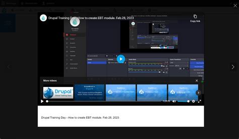 Drupal Video Module 的图像结果