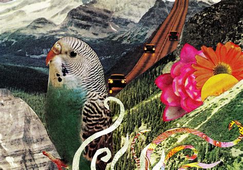 Rookie » December 12, 2012