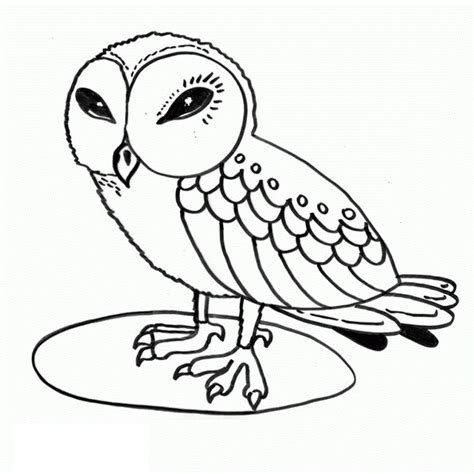 Free Printable Owl Coloring Pages For Kids