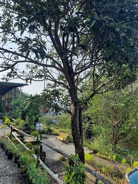 ITHARNA ETERNITY RETREAT (Gadool) - Lodge Reviews, Photos, Rate ...