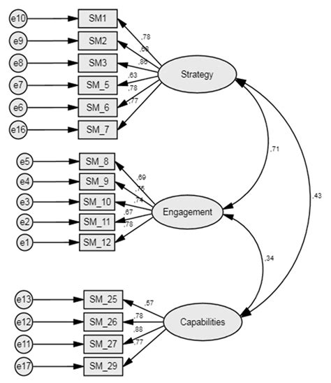 Measuring Sustainable Marketing Orientation—Scale Development Process