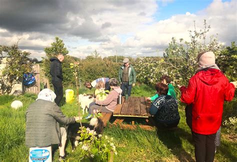 Bealtaine Celebration, Coole Eco Community, Co. Offaly, Athlone, 4 May ...