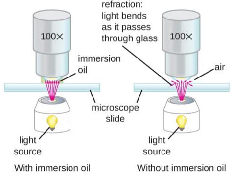 Microbiology Lab Microscope 的图像结果