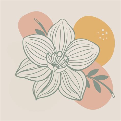 Orchid logo type vector design labeled color blobs illustration ...