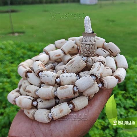 Shyama Tulsi 108+1 Beads Japa Mala barrel Beads - Tulsi Mala