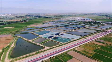 循环水养殖设备优良改底_广州环控农业生物科技有限公司