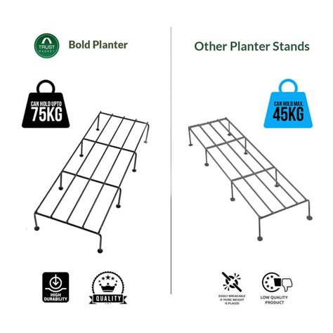 Bold Plant Stand - Set of 4 – TrustBasket