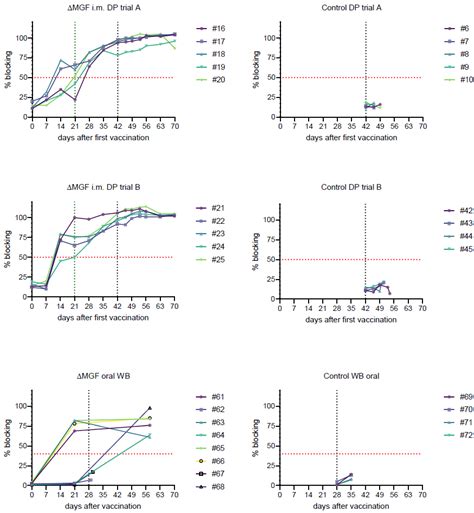 Taking a Promising Vaccine Candidate Further: Efficacy of ASFV-G-ΔMGF ...