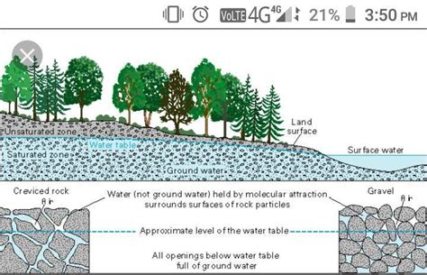 Draw a lebelled sketch showing the water table groundwater and aquifer ...