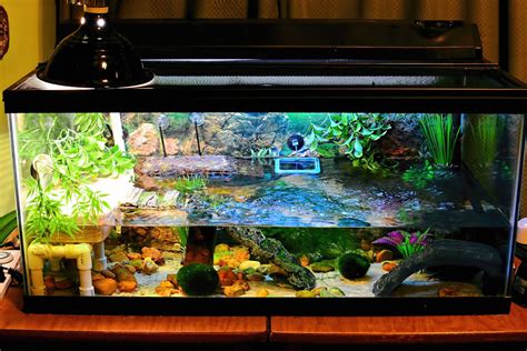 Top Best Turtle Tanks [September 2023 Review] ReptileProfy, 45% OFF