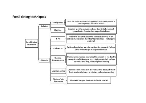 Fossil Dating Methods 的图像结果