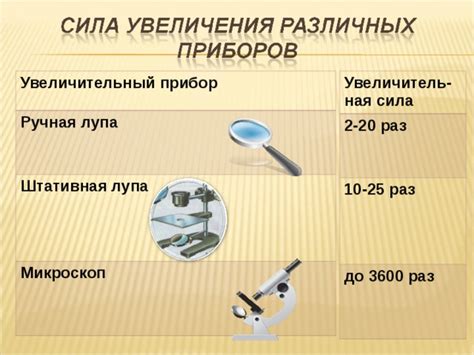 "Увеличительные приборы" - Биология - Уроки - 5 класс