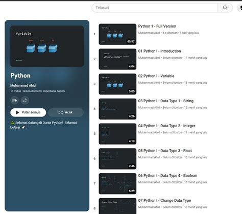 Video Introducing Python 的图像结果