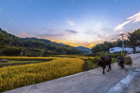 田园风景风光摄影图高清摄影大图-千库网