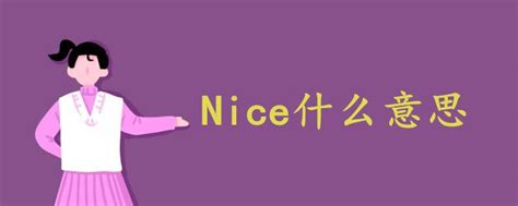 nice是什么意思中文（nice的用法）
