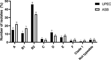 Genotypic characteristics of Uropathogenic Escherichia coli isolated ...