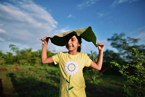 Investor relations - Tata Technologies