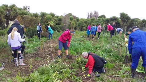 Annual Planting Sunday, 5 May 2024 - Avon-Heathcote Estuary Trust