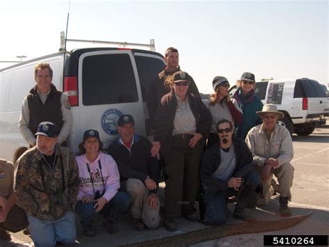 Pythonidae 的图像结果