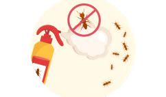 Best Pest Control Services in Delhi NCR - Mourier Pest Control