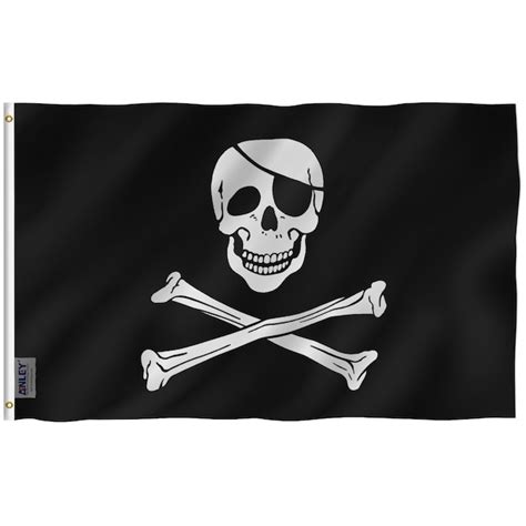 Anley Pirate Flag 5-ft W x 3-ft H Flag in the Decorative Banners ...
