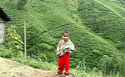 HOME - ヒマラヤ圏サパナ