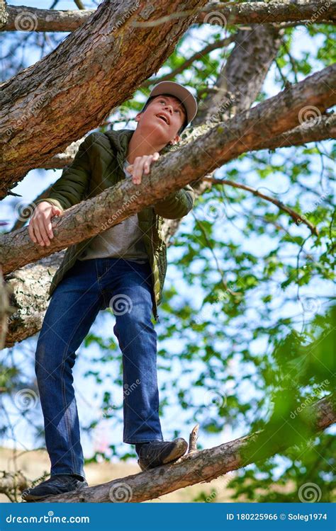 Climbing Tree 的图像结果