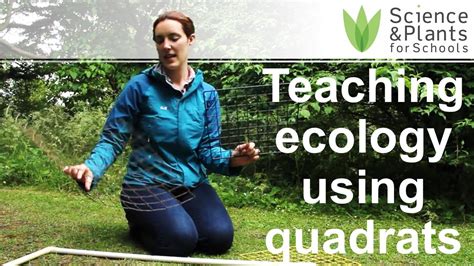 Image result for Free Science Lessons Using Quadrats