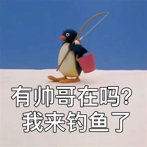 企鹅家族 pingu小企鹅表情合集_腾讯新闻