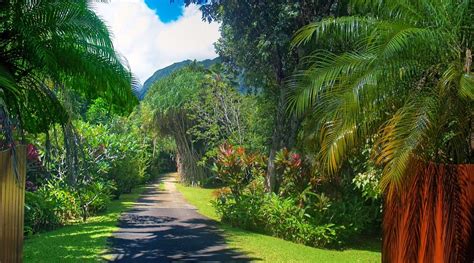RIVER ESTATE (Hanalei, Kauai) - Reviews & Photos